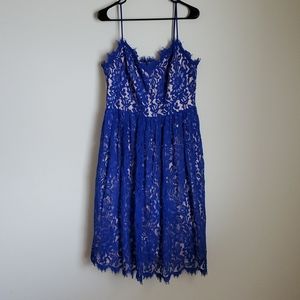 Eliza J True Blue Lace Fit & Flare Dress